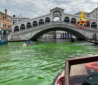 A Venezia l'acqua del Canal Grande diventa verde: le immagini 3