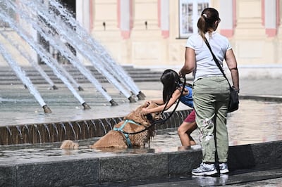 "Col caldo record cambia anche lo shopping: strategie per le aziende che non vogliono veder colare a picco le vendite"