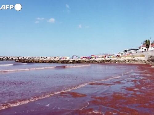 Argentina, "marea rossa" ricopre una spiaggia