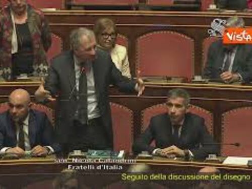 Fuorionda Ronzulli al Senato: "Non me ne frega un c... di quello che pensa Renzi"