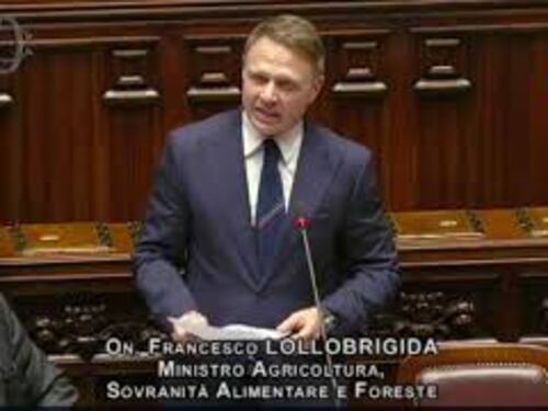 Lollobrigida: "Bene nuova visione Ue per l'agricoltura, Governo difenderà settore in ogni sede"