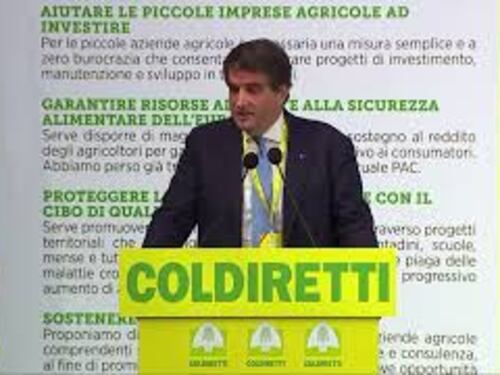 Fitto: Semplificazione, flessibilità e qualità di spesa temi centrali del bilancio Ue