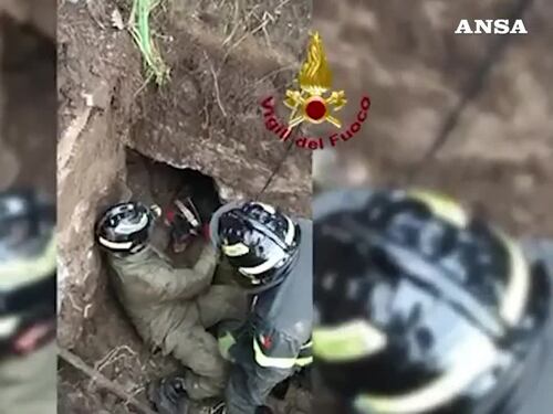 I Vigili del fuoco salvano un cagnolino intrappolato in un cunicolo