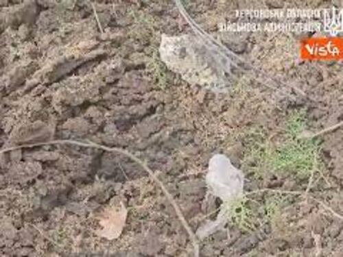 Attacco russo a Kherson, le finestre rotte dei palazzi colpiti