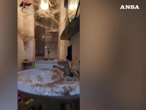 Animali mal tenuti in casa: blitz dei carabinieri a Torino