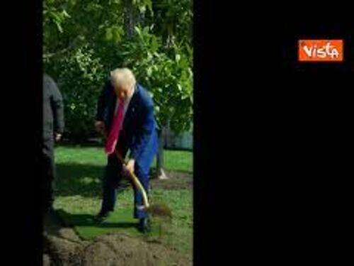 Trump pianta una Magnolia nel giardino della Casa Bianca scavando con una pala