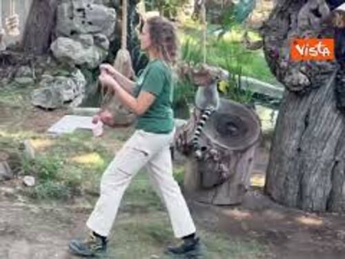 Caldo torrido, per gli animali del Bioparco di Roma ghiaccioli di frutta e yogurt