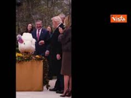 La carezza di Trump al tacchino Waddle durante la cerimonia di grazia alla Casa Bianca