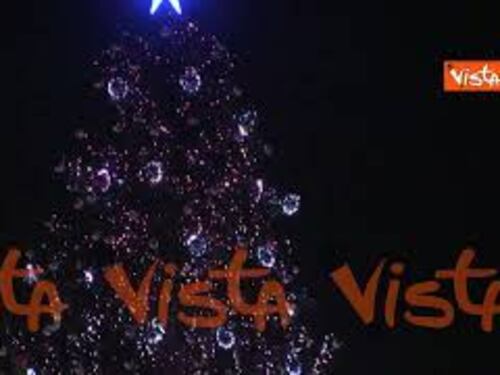Ecco l'albero di Natale del Vaticano a Piazza San Pietro
