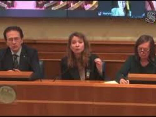 Il racconto in Senato di una donna ucraina violentata da russi, traduttrice non trattiene le lacrime