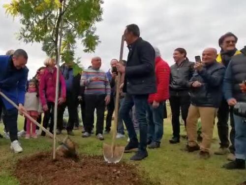 Amadeus giardiniere pianta la mimosa col sindaco di Sanremo