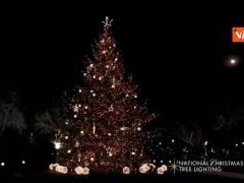 Trump e Melania accendono l'albero di Natale di Washington, il momento del conto alla rovescia
