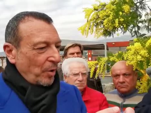 Amadeus pianta la mimosa a Sanremo: "Omaggio alle donne"