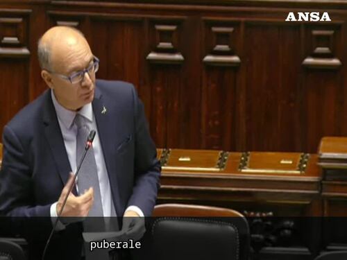 Bagarre in aula dopo le parole di Valditara: il video