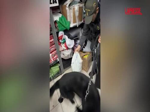 Terrorismo, sacco pieno di soldi trovato durante le perquisizioni