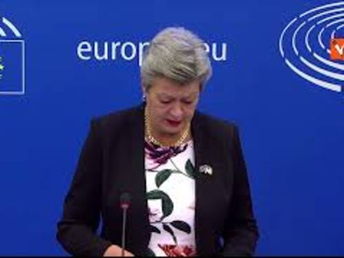Johansson (Commissione Ue): "Tutti applichino rimpatri decisi da altri Stati"