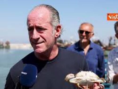 Zaia (Veneto): "Il granchio blu è un cataclisma, attendiamo stato di emergenza"