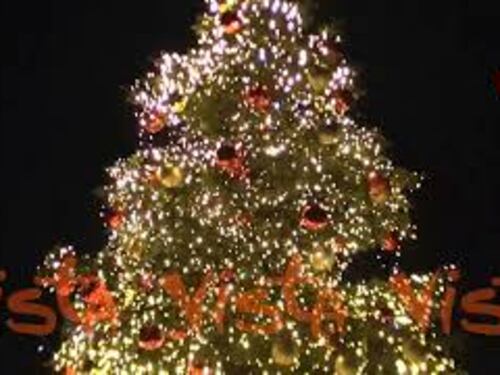 Prove d'accensione per l'albero di Natale di Piazza del Popolo, a Roma. Ecco come sarà illuminato