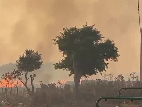 La devastazione delle fiamme a San Vito Lo Capo: cittadini e turisti terrorizzati