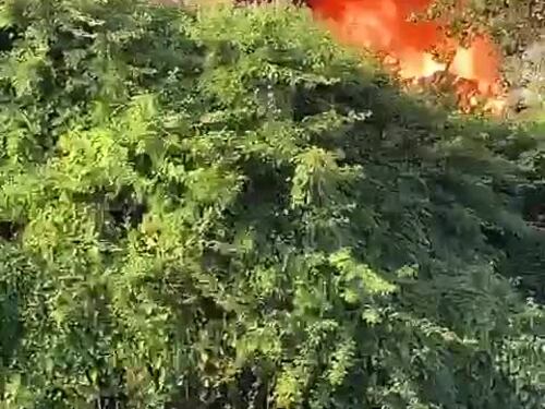 Il video dell'incendio divampato nella zona orientale di Napoli