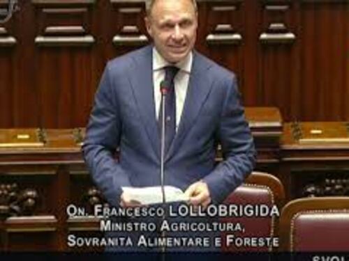 Lollobrigida: "Contrasteremo in ogni sede produzione cibo sintetico"