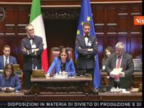 Carne sintetica, ok della Camera al divieto con 159 sì e 53 no. È legge