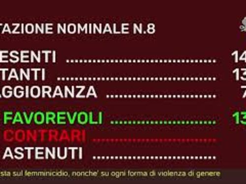 Femminicidio, il Senato approva Commissione bicamerale di inchiesta all'unanimità
