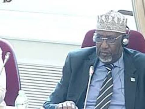 Nur Madobe (Presidente Camera Somalia): Nostre priorità eliminare terrorismo e rafforzare democrazia