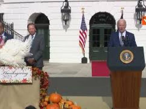 Biden grazia i tacchini per il Giorno del Ringraziamento