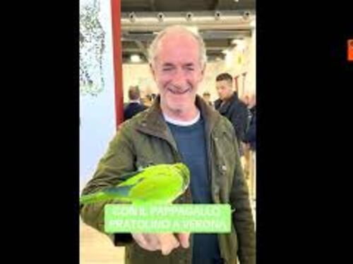 Zaia a Veronafiere con un pappagallo, il simpatico video postato sui social