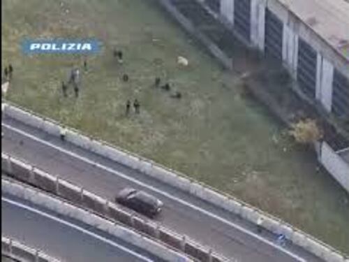 Ecco "il bosco della droga" a Milano, le riprese aeree della Polizia