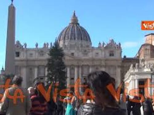 Natale 2022, ecco l'albero di Natale in Piazza San Pietro
