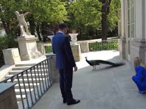 Meloni a Varsavia accolta dal premier polacco Morawiecki con un mazzo di fiori