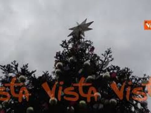 L’albero di Natale di Piazza San Pietro, un abete bianco donato dall'Abruzzo