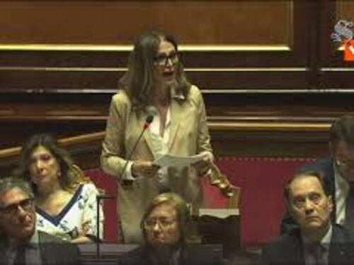 Santanchè: "Sono qui a difendere l'onore mio e di mio figlio"