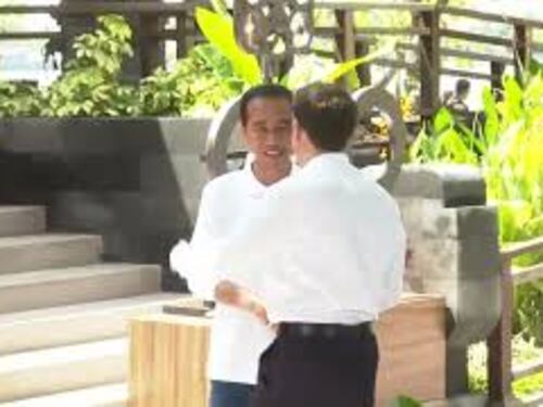 G20 Bali, i leader mondiali nella foresta di Mangrovie piantano un nuovo albero