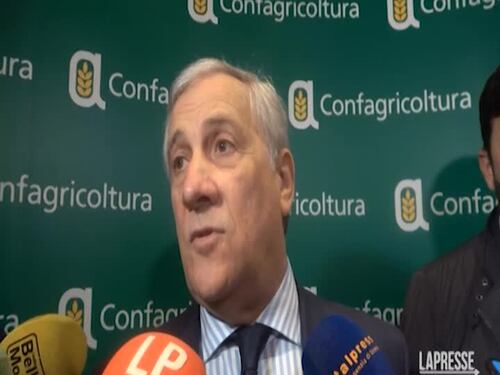 Tajani spegne le polemiche sul Mes: "Maggioranza coesa"
