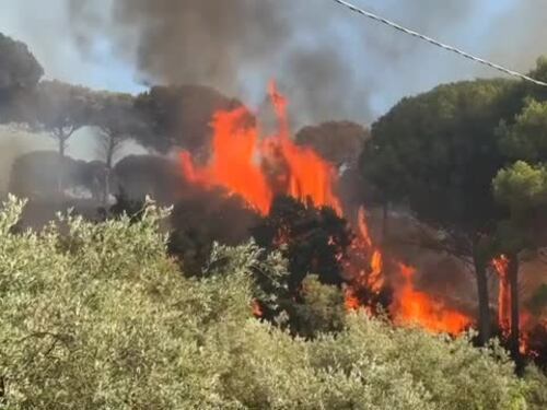 Brucia la Sicilia, centinaia di focolai in tutta la regione