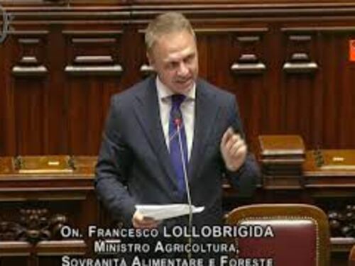 Reddito cittadinanza, Lollobrigida: "Non ho nulla di cui scusarmi. Non esiste diritto a sussidi"