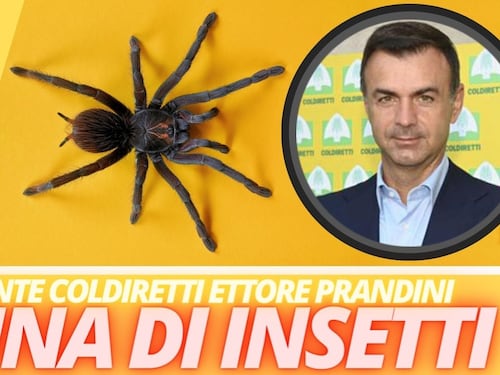Prandini: "Il paradosso Ue, tra Nutriscore e farina di insetti"