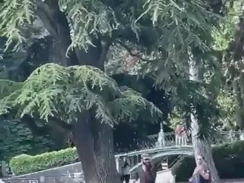 L'attentatore di Annecy subito dopo l'attacco