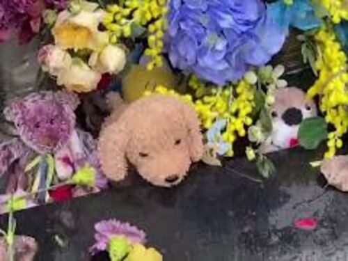 Fiori e peluche al memoriale per le vittime della strage di Bucha