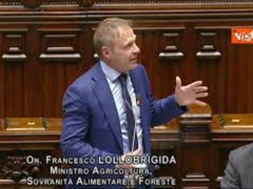 Stop a carne sintetica, Lollobrigida: "In Ue vorremmo convincere altre nazioni a fare stessa scelta"
