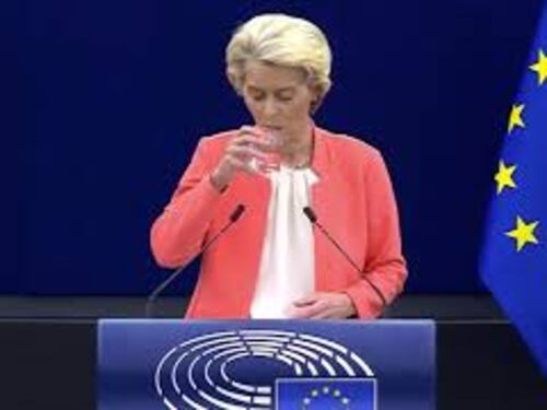 Von der Leyen: "Chiesto a Draghi analisi competitività Ue"