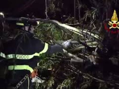 Maltempo in Friuli, le immagini degli alberi caduti a Gorizia