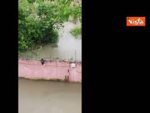 Maltempo a Milano, le immagini degli allagamenti a Locate