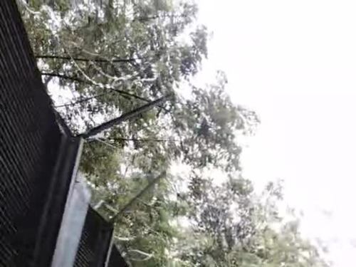 No Tav sradicano i jersey a San Giuliano in Val Susa