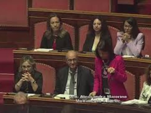 Maternità surrogata, Maiorino (M5s): "Volgare speculazione per propaganda su pelle bambini"