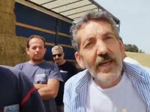Siccità in Sicilia, l'allarme degli allevatori siciliani: "Mancano l'acqua e il cibo"