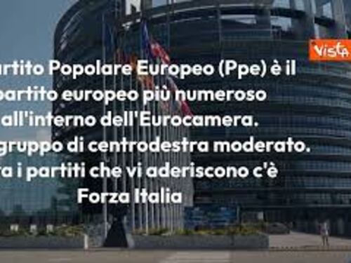 Quali sono i gruppi politici del Parlamento europeo? L'infografica